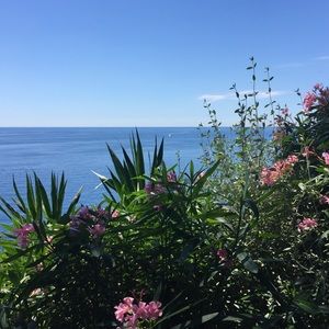 Meet your Posher, Aline